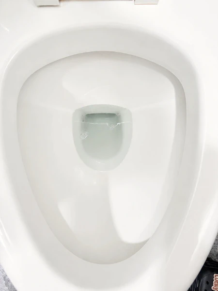 馬桶清理後